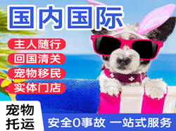 吐鲁番交河机场空运国际宠物托运 【国